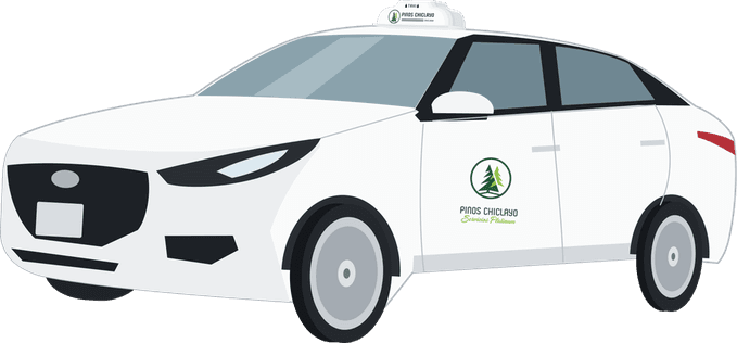 Taxi Pinos Plus