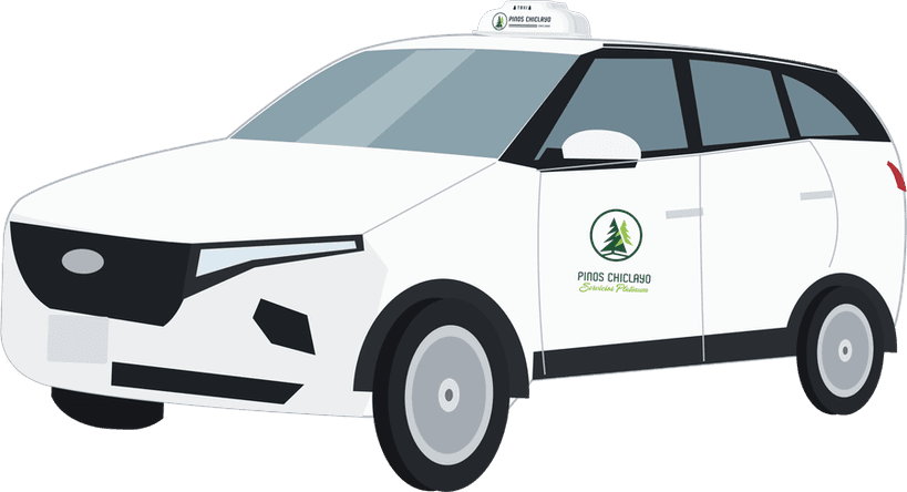 Taxi Pinos XL
